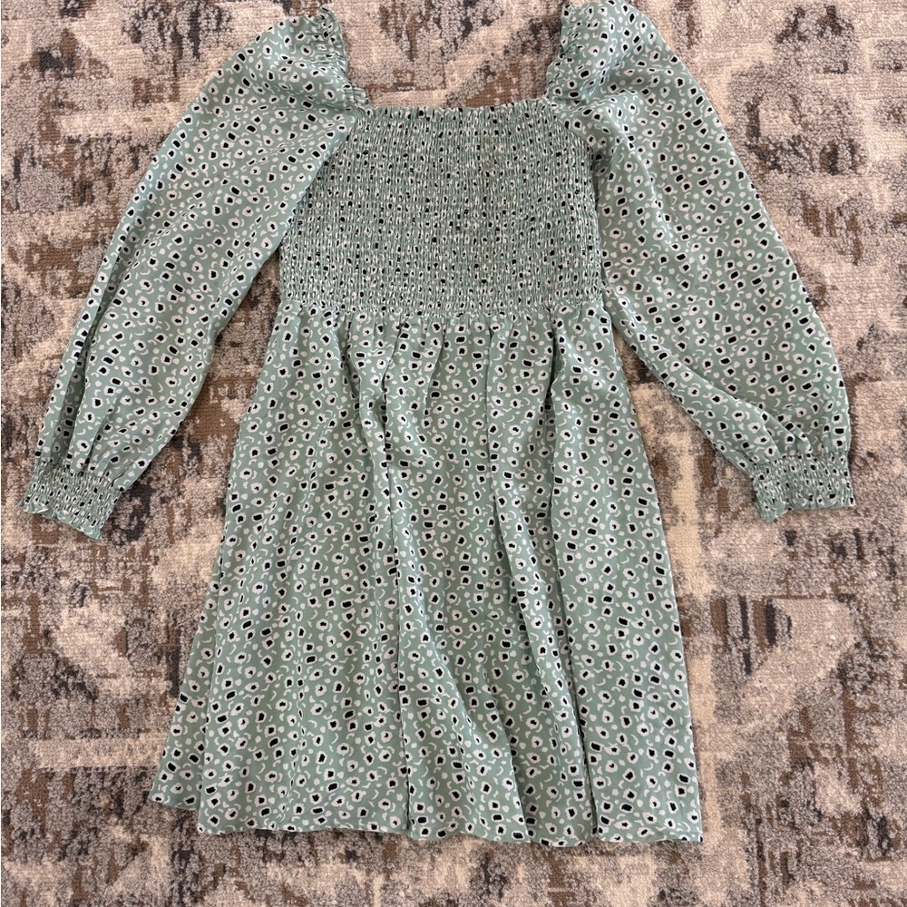 Cheetah Mint Green Long Sleeve Dress / Medium